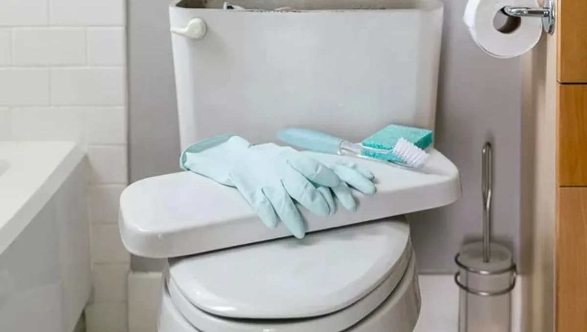 Kotitemppu temppu, miten puhdistaa wc-istuin ja jättää se tahrattomaksi